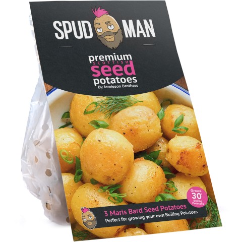 SpudMan 3 Maris Bard Seed Potatoes, Grows Approx. 30 New Baby Boiling Potatoes