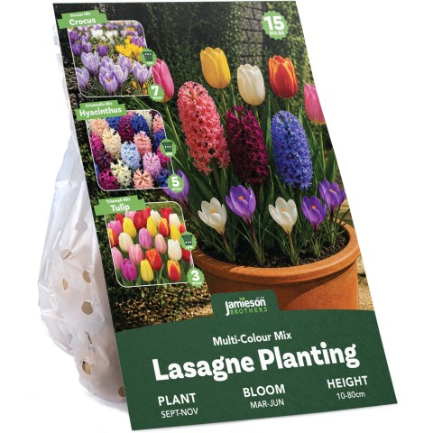 Multi-Colour Spring Flowering Lasagne Bulb Planting Kit - Layered Perennial Flower Bulbs for Garden Pots & Containers, Mixed Tulips, Crocus & Alliums – by Jamieson Brothers
