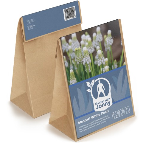 Muscari White Pearl