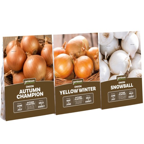 Mixed Winter Onion Sets 3-Pack (750g, Approx. 150 Bulbs) Snowball, Autumn Champion and Yellow Winter for Planting Now in UK Autumn by Jamieson Brothers