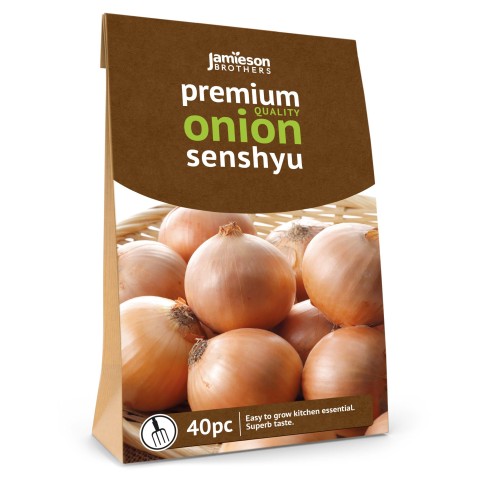 Jamieson Brothers® Senshyu Winter Onion sets - 40pcs Bulb size 14/21