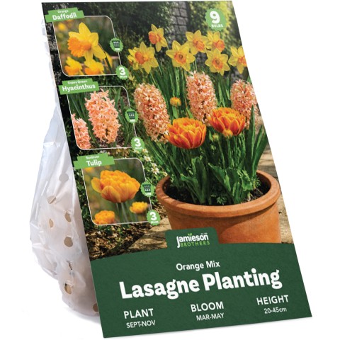 Orange Spring Flowering Lasagne Bulb Planting Kit - Layered Perennial Flower Bulbs for Garden Pots & Containers, Mixed Tulips, Daffodils & Hyacinths – by Jamieson Brothers