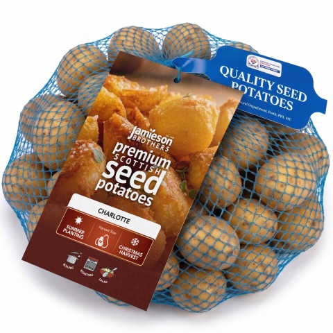 Charlotte (2kg - Approx. 20-25 Tubers) Christmas Harvest Seed Potatoes Summer Planting Second Cropping Plant Now UK, Grows Approx. 200 Potatoes, by Jamieson Brothers