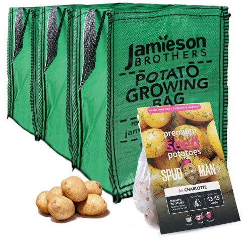 SpudMan Summer Planting Kit – Charlotte (6 Seed Potatoes + 3 Planter Bags) – Perfect for a Winter Yield of Boiling Potatoes