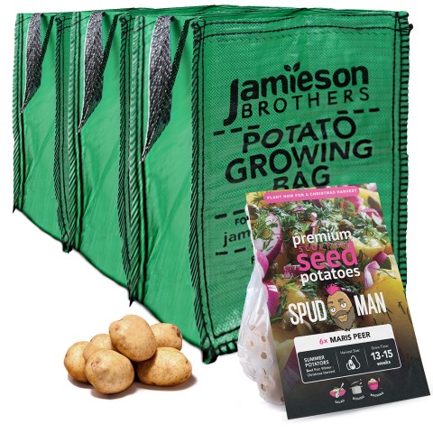 SpudMan Summer Planting Kit – Maris Peer (6 Seed Potatoes + 3 Planter Bags) – Perfect for a Winter Yield of Salad Potatoes