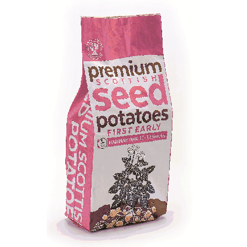 Lady Christl 20kg (Approx. 200-250) Seed Potatoes, Ideal for Salads, Grows Approx. 2000 Salad Potatoes