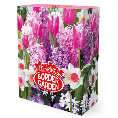 Pink Garden Mix: Chionodoxa rosea, Daffodil (Narcissus) Accent, Hyacinthus Fondant, Hyacinthus Splendid Cornelia & Tulip Don Quichotte