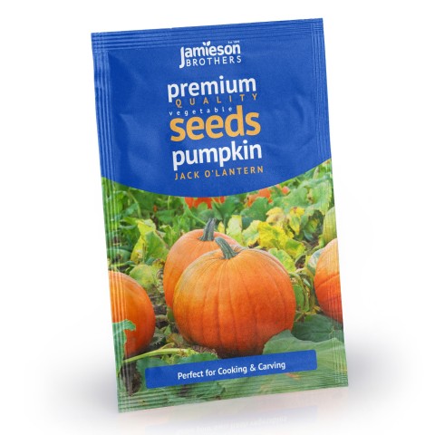 Pumpkin Jack O'Lantern (approx 20 seeds) Grow for Eating and Carving -  by Jamieson Brothers
