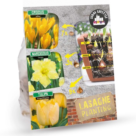 Yellow Lasagne Mix: Crocus Yellow, Daffodil Cassata, Tulip Fringed Elegance 15 Bulbs Ready for Planting Now in UK Autumn Outdoor Gardens