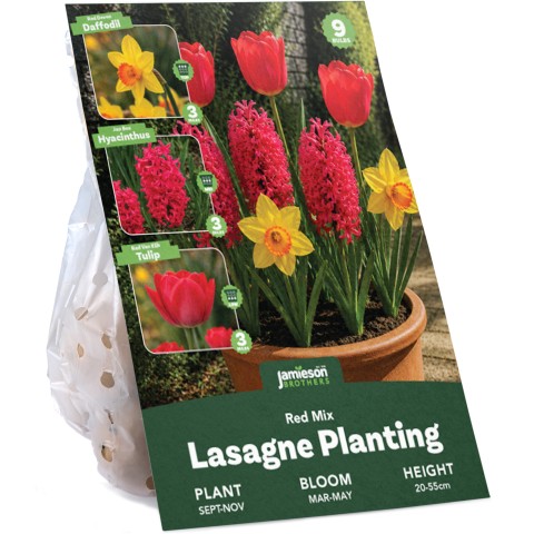 Red Spring Flowering Lasagne Bulb Planting Kit - Layered Perennial Flower Bulbs for Garden Pots & Containers, Mixed Tulips, Daffodils & Hyacinths – by Jamieson Brothers