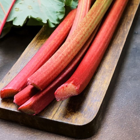 Rhubarb (Rheum Rhabarbarum) 1x Spring Planting Rhubarb Roots| Roots for Planting Now UK | Plant Garden Outdoor | Jamieson Brothers