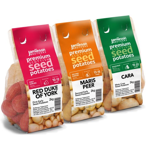 6kg Seed Potato Bundle (Red Duke of York, Maris Peer & Cara) Easy to Grow & High Yielding Varieties Perfect for All Uses
