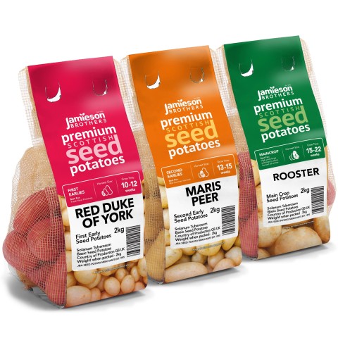 6kg Seed Potato Bundle (Red Duke of York, Maris Peer & Rooster) Easy to Grow & High Yielding Varieties Perfect for All Uses