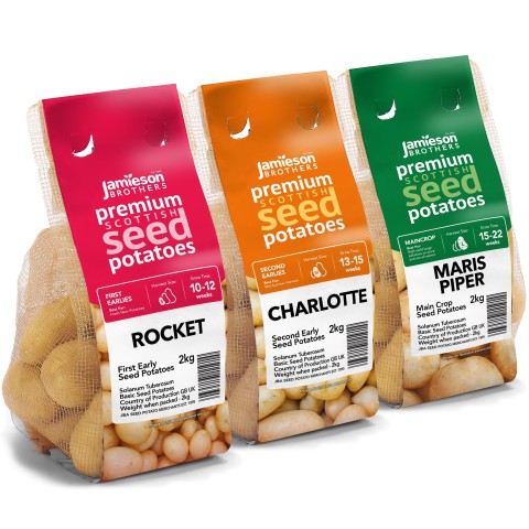 Jamieson Brothers 6kg Seed Potato Bundle (Rocket, Charlotte, Maris Piper) Easy to Grow & High Yielding Varieties Perfect for All Uses