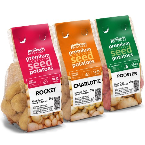 6kg Seed Potato Bundle (Charlotte, Rooster & Rocket) Easy to Grow & High Yielding Varieties Perfect for All Uses