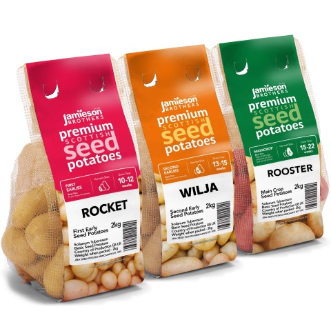 6kg Seed Potato Bundle (Rocket, Wilja & Rooster) Easy to Grow & High Yielding Varieties Perfect for All Uses