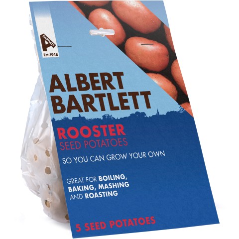 Albert Bartlett Rooster 5-Tuber Pack Seed Potatoes