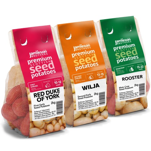 6kg Seed Potato Bundle (Red Duke of York, Wilja & Rooster) Easy to Grow & High Yielding Varieties Perfect for All Uses