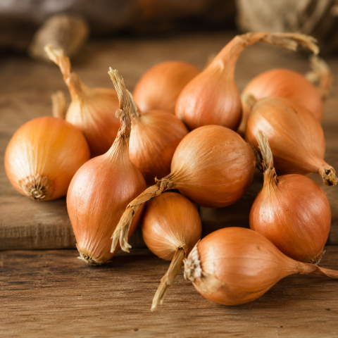 Golden Gourmet Shallot 250g Autumn Planting Shallot Sets