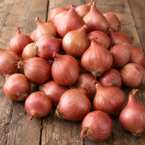 Red Sun Shallot 250g Autumn Planting Shallot Sets