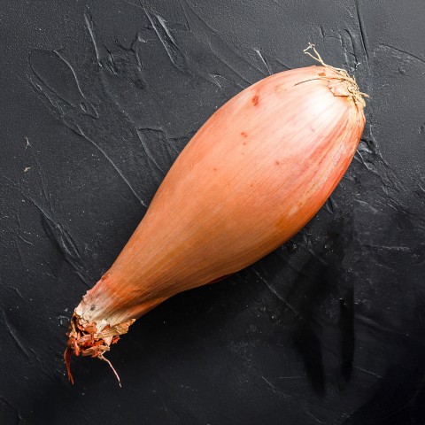 Shallot Red Sun (Allium Cepa) 250g Spring Planting Shallot Bulbs| Vegetable Bulb for Planting Now UK | Plant Garden Outdoor | Jamieson Brothers