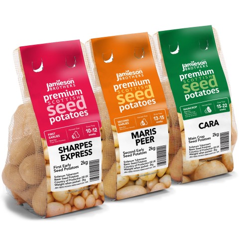 6kg Seed Potato Bundle (Sharpes Express, Maris Peer & Cara) Easy to Grow & High Yielding Varieties Perfect for All Uses