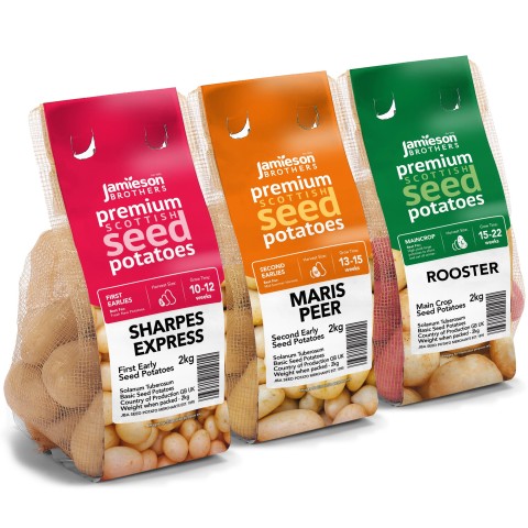 6kg Seed Potato Bundle (Sharpes Express, Maris Peer & Rooster) Easy to Grow & High Yielding Varieties Perfect for All Uses