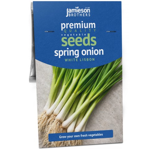 Onion Bunching (Spring) White Lisbon – 1g Salad Onion Seeds for Fresh, Mild Flavour
