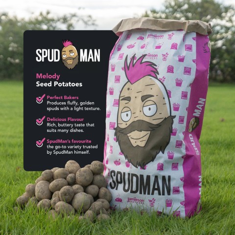 SpudMan Melody Seed Potatoes