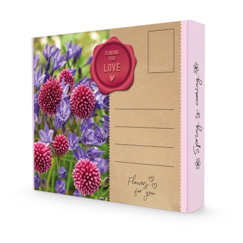 Postal Gift Box - Sending You Love!: Allium Sphearocephalon & Brodiaea Queen Fabiola