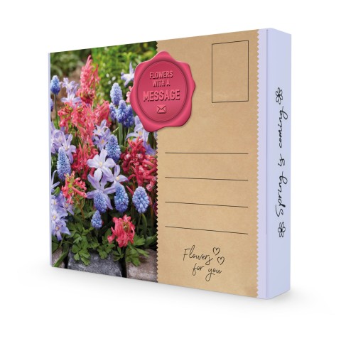 Postal Gift Box - Flowers with a Message!: Corydalis Beth Evans, Chionodoxa Blue & Muscari Azuream