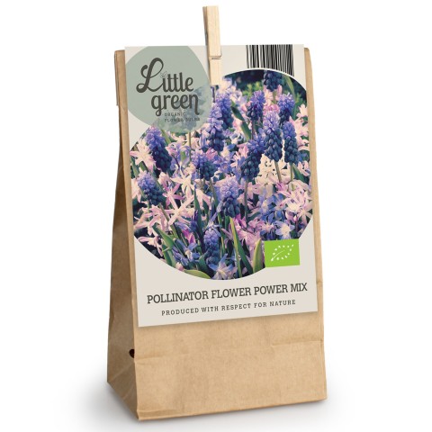 Pollinator Flower Power Mix 15 Bulbs Ready for Planting Now in UK Autumn Outdoor Gardens