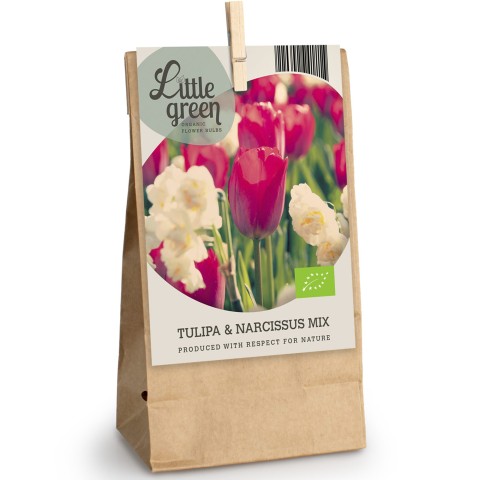 Tulip/Daffodil (Narcissus) Mix 10 Bulbs Ready for Planting Now in UK Autumn Outdoor Gardens