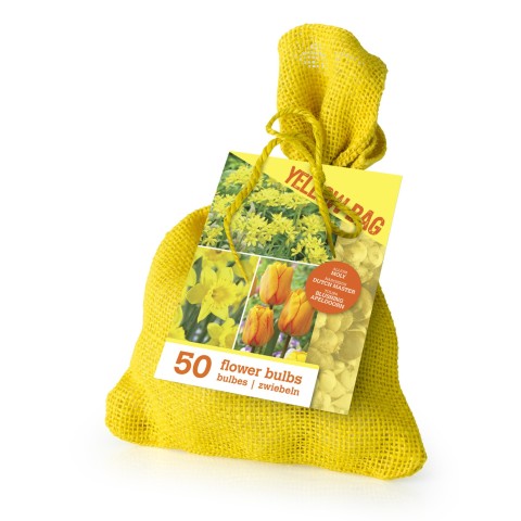 The Yellow Bag 50 Bulbs Ready for Planting Now in UK Autumn Outdoor Gardens