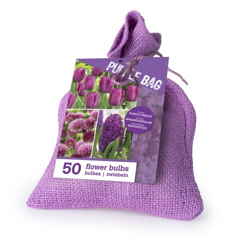 The Purple Bag 50 Bulbs Ready for Planting Now in UK Autumn Outdoor Gardens