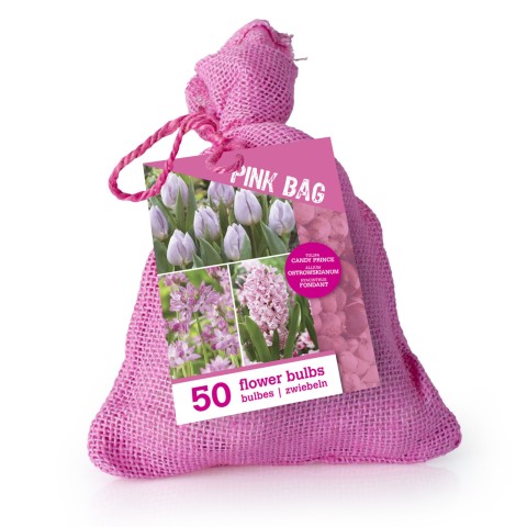 The Pink Bag 50 Bulbs Ready for Planting Now in UK Autumn Outdoor Gardens