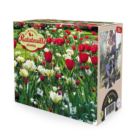 Ratatouille, Red & White Tones: Daffodil Ice Follies, Puschkinia alba, Tulip Apeldoorn, Tulip Exotic Emperor, Tulip Seadov, 30 Bulbs Ready for Planting Now in UK Autumn Outdoor Gardens