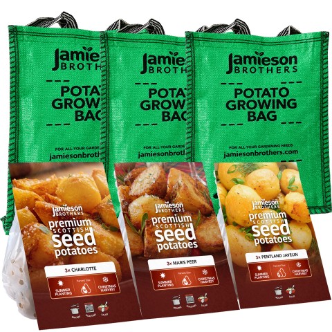 3x3 Tuber Bundle Summer Planting Christmas Harvest Seed Potatoes Pentland Javelin, Maris Peer & Charlotte + 3 Planter Grow Bags