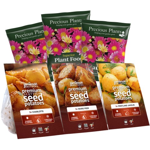 3x3 Refill Tuber Bundle Summer Planting Christmas Harvest Seed Potatoes Pentland Javelin, Maris Peer & Charlotte + 3x Superior Plant Food 210g Sachet