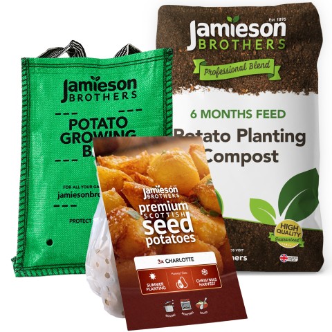 Charlotte Summer Planting Seed Potato Kit, Christmas Harvest - 3 Tubers, 60L Potato Compost & Planter Bag by Jamieson Brothers