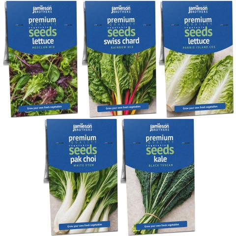 Super Greens & Leafy Harvest Bundle 5 Pack Vegetable Seed Collection (Lettuce Mesclun Mix, Swiss Chard Rainbow Mix, Lettuce Parris Island Cos, Pak Choi White Stem, Kale Black Tuscan)