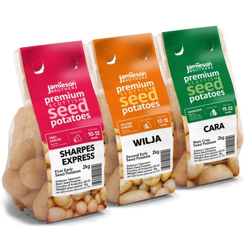 6kg Seed Potato Bundle (Sharpes Express, Wilja & Cara) Easy to Grow & High Yielding Varieties Perfect for All Uses