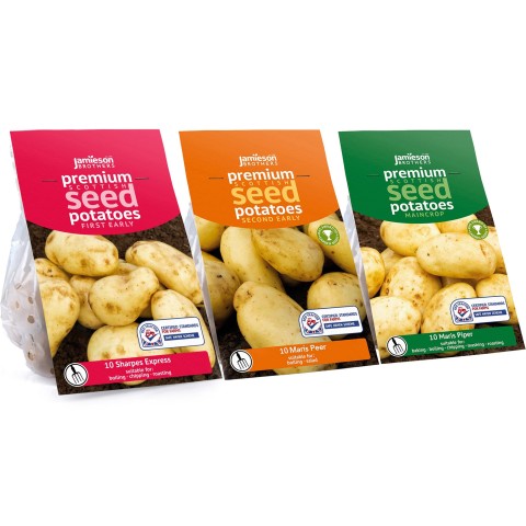 3x10 Tuber Bundle Sharpes Express, Maris Peer & Maris Piper Seed Potatoes 