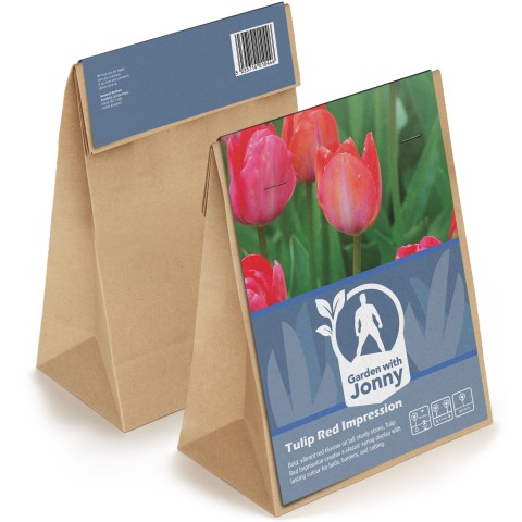Tulip Red Impression