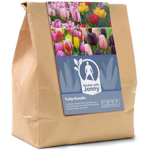Garden with Jonny Tulip Bundle - 4 Types of Assorted Tulip Bulbs - Autumn Planting Flower Bulbs