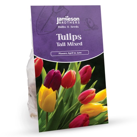 Tall Mixed Tulip Bulbs (20 bulbs) by Jamieson Brothers®  