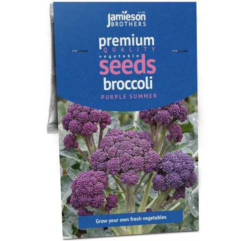 Sprouting Broccoli Purple Summer Vegetable Seeds (Approx. 60 seeds) by Jamieson Brothers