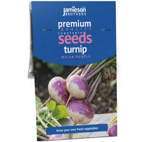 Turnip Milan Purple Vegetable Seeds (2 grams) by Jamieson Brothers