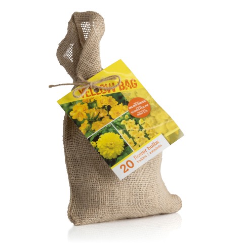 The Yellow Bag (Dahlia Pinnata, Gladiolus Hortulanus, Freesia Hybrid) 20x Spring Planting Flower Bulbs