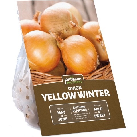 Yellow Winter Onion Sets (250g, Approx 50 Bulbs) for Planting Now in UK Autumn by Jamieson Brothers